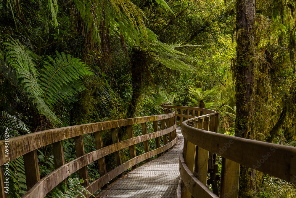 Fototapeta premium A winding boardwalk surrounded by lush, tropical foliage in New Zealand 
