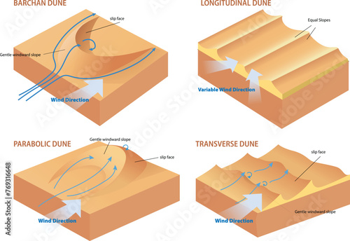 types of dune cross section diagram illustration photo