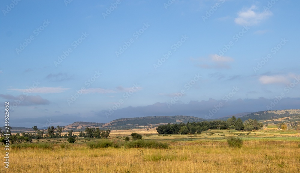 Autumn season starts over the grasslands of the Highveld of Gauteng province in South Africa