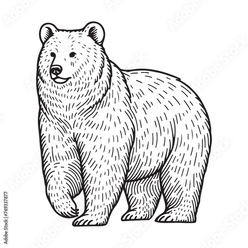 Line art of bear cartoon vector