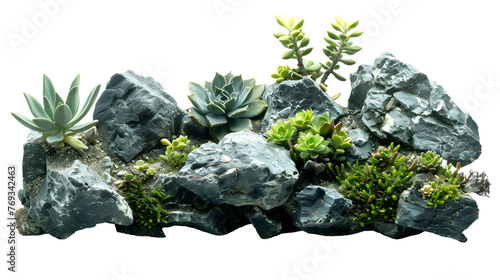 Rockery transparent picture
