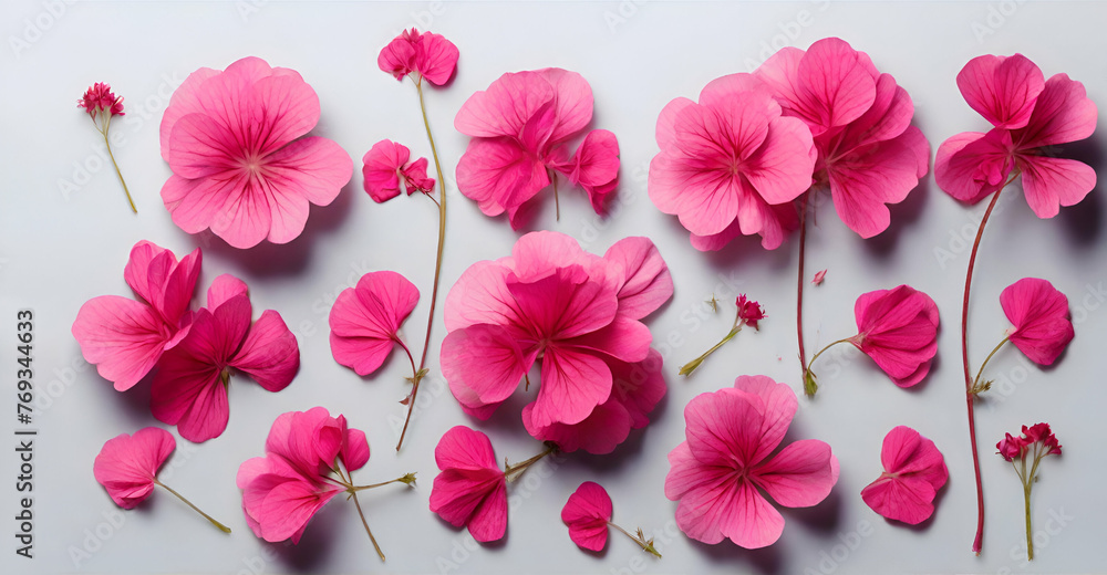 custom made wallpaper toronto digitalBeautiful pink flowers and geranium petals. Floral design element, top view flat lay.Set of pink flowers and geranium petals ai generative