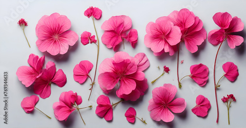 Wallpaper Mural Beautiful pink flowers and geranium petals. Floral  design element, top view flat lay.Set of pink flowers and geranium petals ai generative Torontodigital.ca