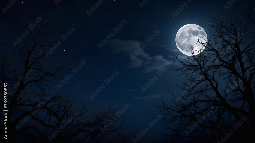full moon over the forest full moon over the forest