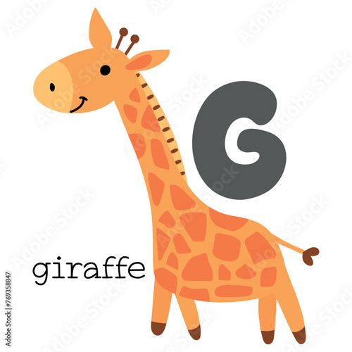 Educational illustration of letter G from alphabet.	