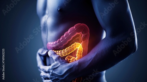 human stomach pain Digestive problems. Transparent 3D illustration showing the intestinal organs. photo