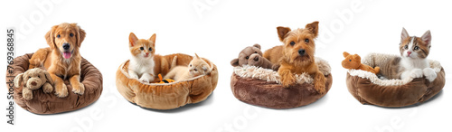 A Variety of Pet Beds Clip Art. Cats and Dogs Relaxing on soft cushion pet bed collectin photo