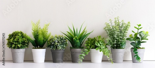 Set of artificial plants on white surface