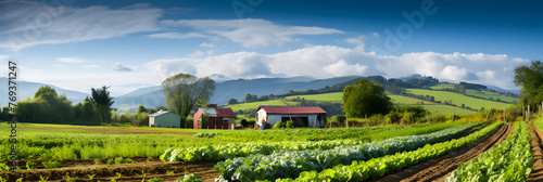 Bountiful Harvest: A Snapshot of Sustainable Organic Farming
