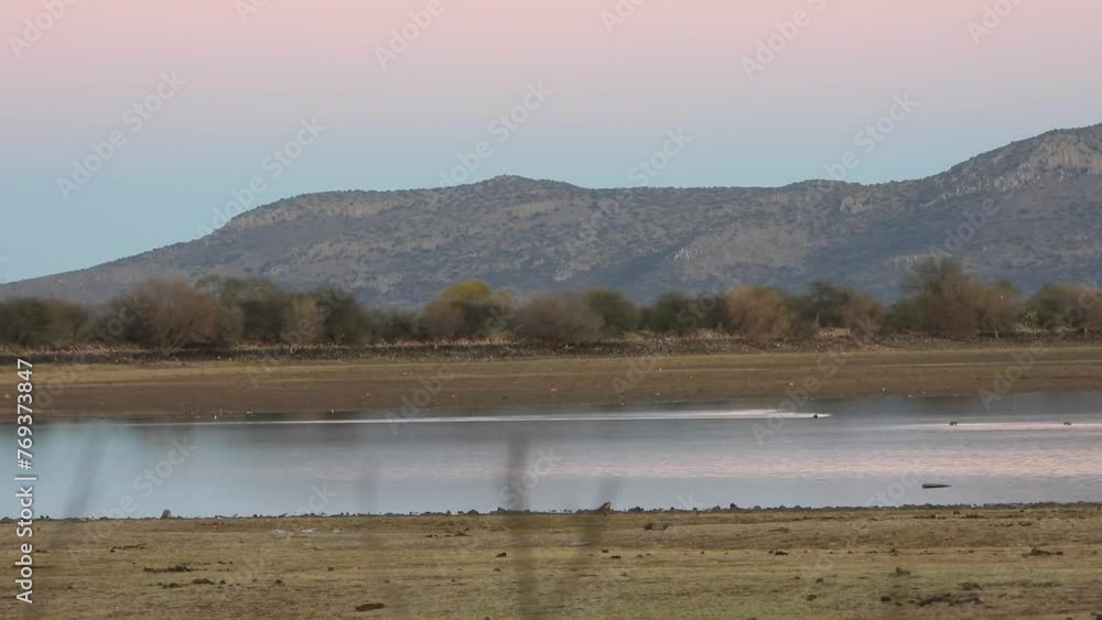 Tranquil river scene: Ducks gracefully glide as a majestic mountain overlooks a stunning sunset backdrop in this stock footage. Tranquil river scene: Ducks gracefully glide as a majestic mountain overlooks a stunning sunset backdrop in this stock footage.