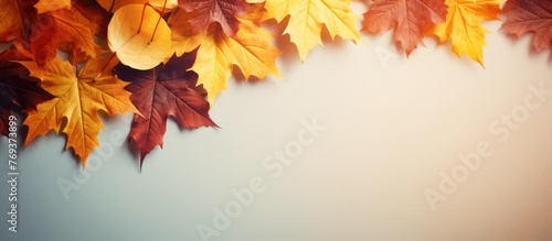 A collection of flowershaped autumn leaves in shades of amber  orange  and brown scattered across a white background  resembling a natural landscape with twigs and petals