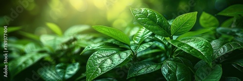 Detailed view of a green plant with vibrant leaves