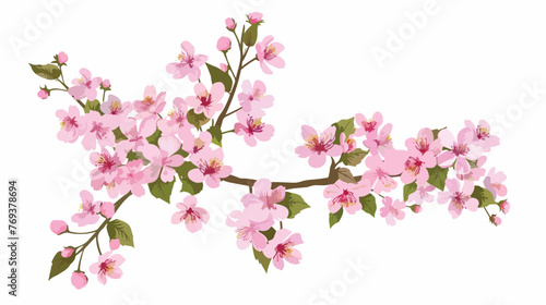 Cherry blossom watercolor Flat vector
