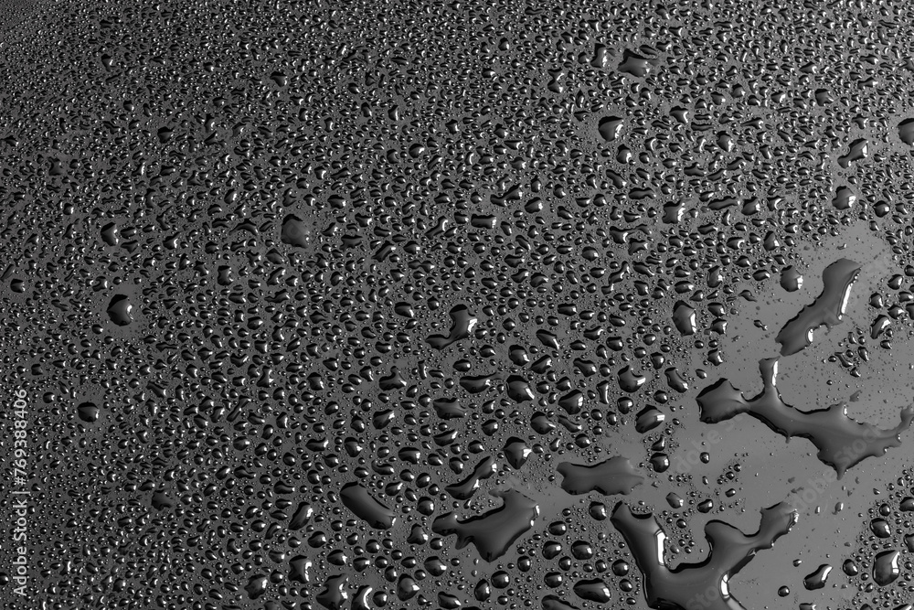 Water drops on a black background. Texture Water drops on a black background. Texture