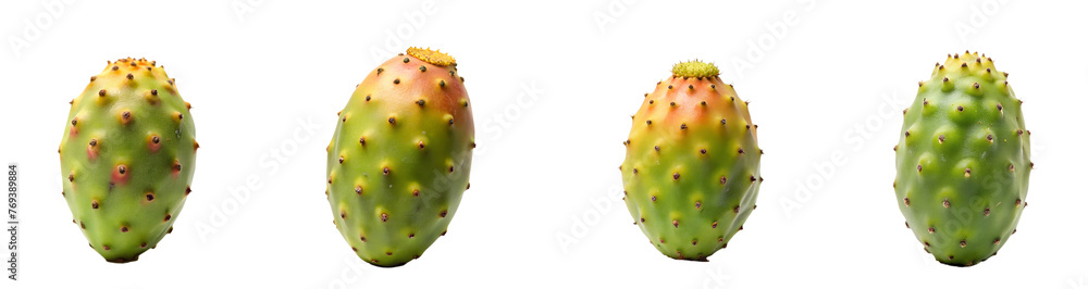 prickly pear on transparent background, element remove background prickly pear on transparent background, element remove background