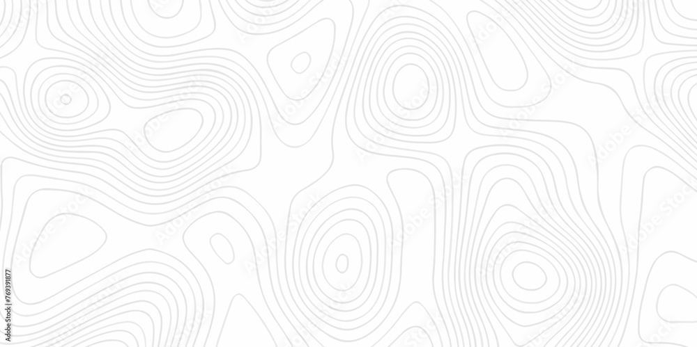 White wave paper curved reliefs abstract background. The topographic map contour in lines isolated. Abstract white topographic map background with lines. Background of the topography map. White wave paper curved reliefs abstract background. The topographic map contour in lines isolated. Abstract white topographic map background with lines. Background of the topography map.