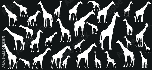 Giraffe silhouettes, diverse poses of giraffe vector