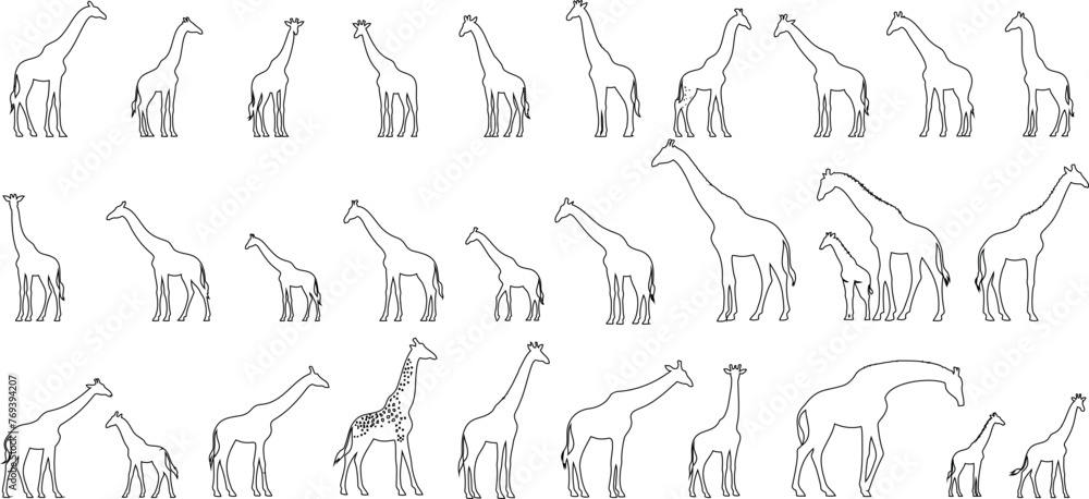Giraffe line art Giraffe line art