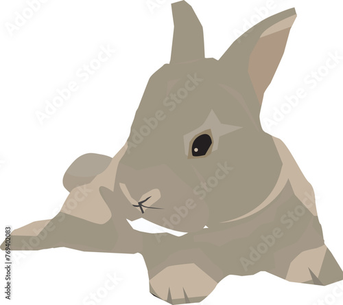 baby rabbit pet sleep funny
illustration cartoon transparent png