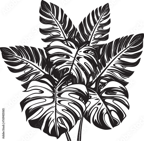 Palm Canopy Classic Large Tropical Leaves, Black Logo Design Tropical Leaf Extravaganza Oversized Leaves, Vector Emblem