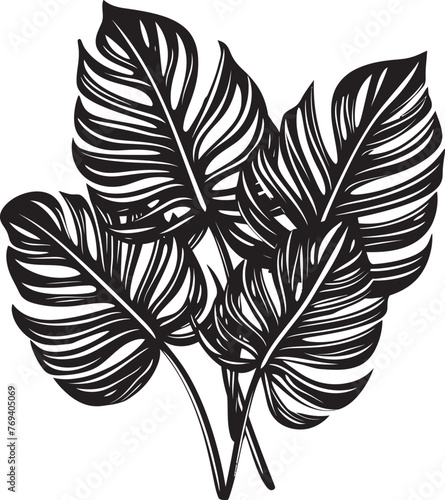 Jungle Canopy Majesty Large Tropical Leaves, Black Vector Symbol Tropical Leaf Elegance Big Leaves with Iconic Black Logo