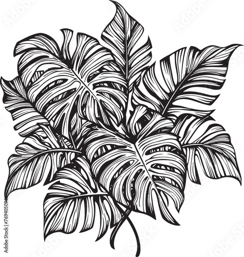 Palm Canopy Couture Large Tropical Leaves, Vector Emblem Design Tropical Leaf Oasis Oversized Foliage, Black Icon Design