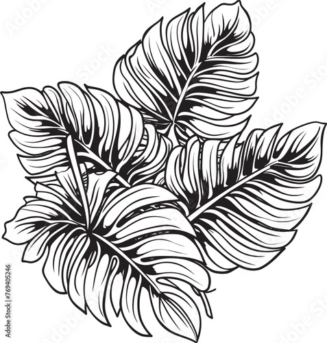 Tropical Leaf Harmony Big Leaves with Black Iconic Design Palm Canopy Prestige Large Tropical Leaves, Emblematic Black Vector