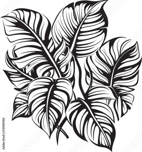Tropical Retreat Oversized Foliage, Iconic Vector Symbol Rainforest Majesty Large Tropical Leaves, Black Emblem