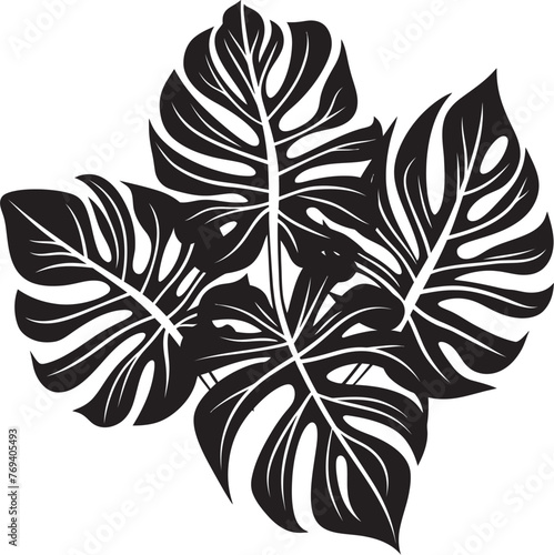 Tropical Beauty Oversized Leaves with Iconic Vector Logo Palm Majesty Large Tropical Leaves, Black Symbol