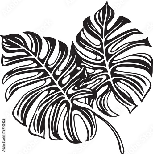 Jungle Canopy Elegance Large Tropical Leaves, Black Symbol Tropical Leaf Serenity Big Leaves, Vector Emblem Design