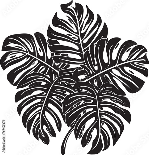 Rainforest Radiance Large Tropical Leaves, Black Vector Symbol Tropical Leaf Tapestry Big Leaves with Emblematic Logo