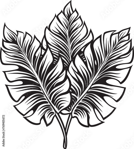 Jungle Canopy Majesty Grand Leaves, Vector Emblem Design Tropical Leaf Oasis Large Leaves, Black Vector Logo