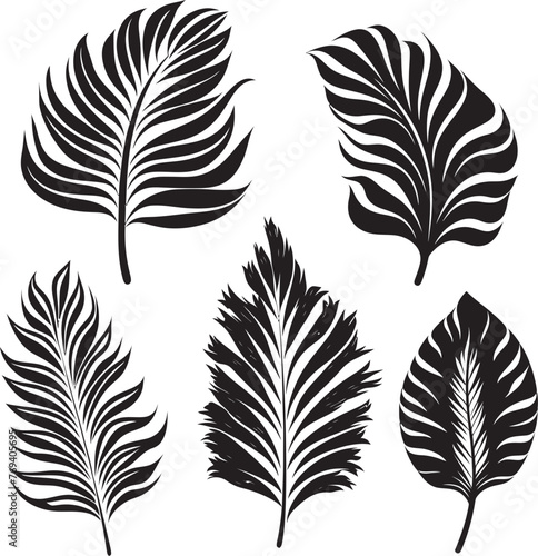 Palm Canopy Prestige Large Leaves, Black Vector Logo Tropical Leaf Oasis Oversized Foliage, Emblematic Symbol