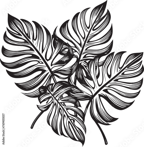 Palm Canopy Prestige Large Tropical Foliage, Black Icon Tropical Leaf Oasis Oversized Leaves, Iconic Vector Emblem
