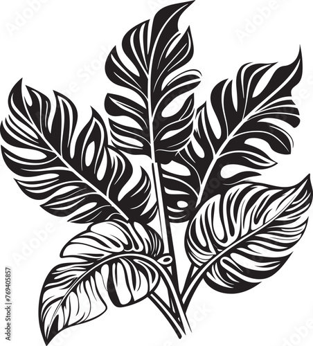 Rainforest Radiance Grand Leaves, Vector Emblem Design Tropical Leaf Ensemble Large Foliage, Black Vector Symbol