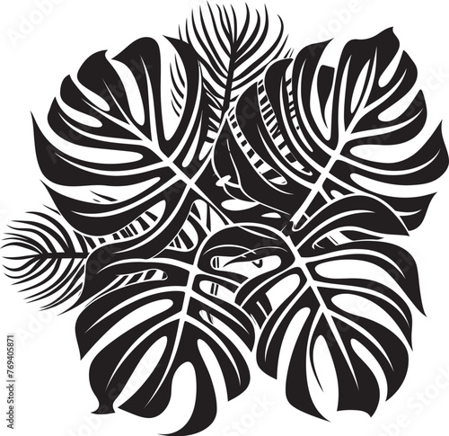 Palm Canopy Prestige Large Leaves, Black Emblem Design Tropical Leaf Oasis Oversized Foliage, Vector Icon
