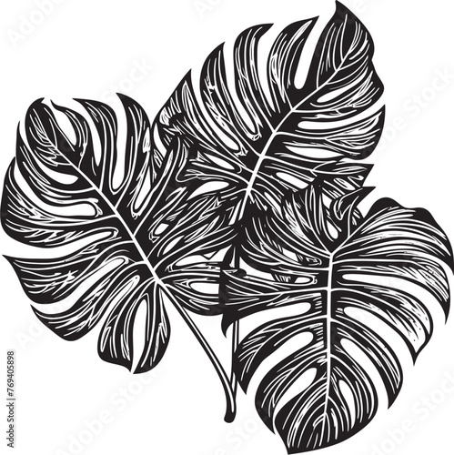 Exotic Leaf Ensemble Large Tropical Foliage, Vector Icon Design Jungle Oasis Opulence Grand Tropical Leaves, Black Emblem