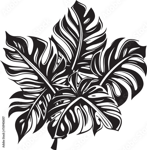 Tropical Oasis Oasis Grand Leaves with Striking Logo Design Palm Paradise Panorama Large Tropical Leaves, Black Vector Symbol