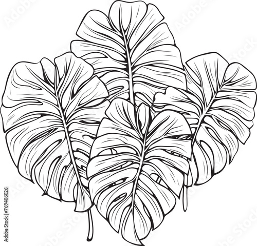 Palm Paradise Panorama Large Tropical Leaves, Black Vector Symbol Tropical Wilderness Wonder Oversized Leaves and Emblematic Black Logo