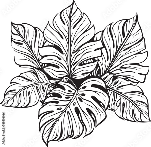 Tropical Leaf Symphony Large Foliage, Black Iconic Symbol Palm Paradise Panache Oversized Tropical Leaves, Vector Emblem