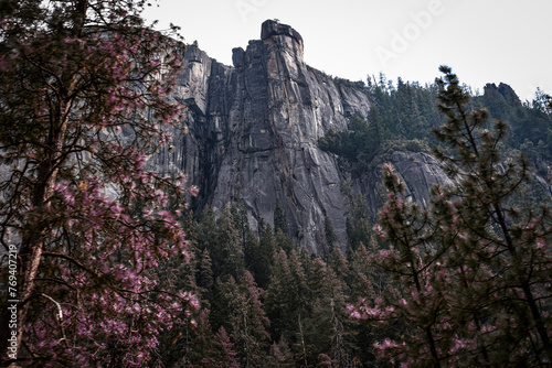 Photography The Rostrum Rock among the Trees in Yosemite Valley, California