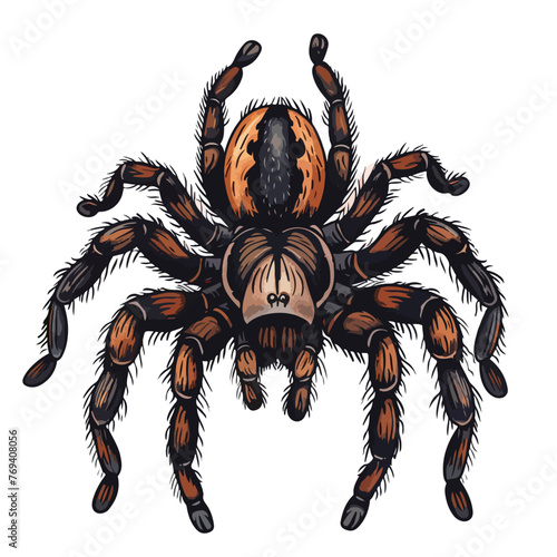 Tarantula Spider Clipart isolated on white background