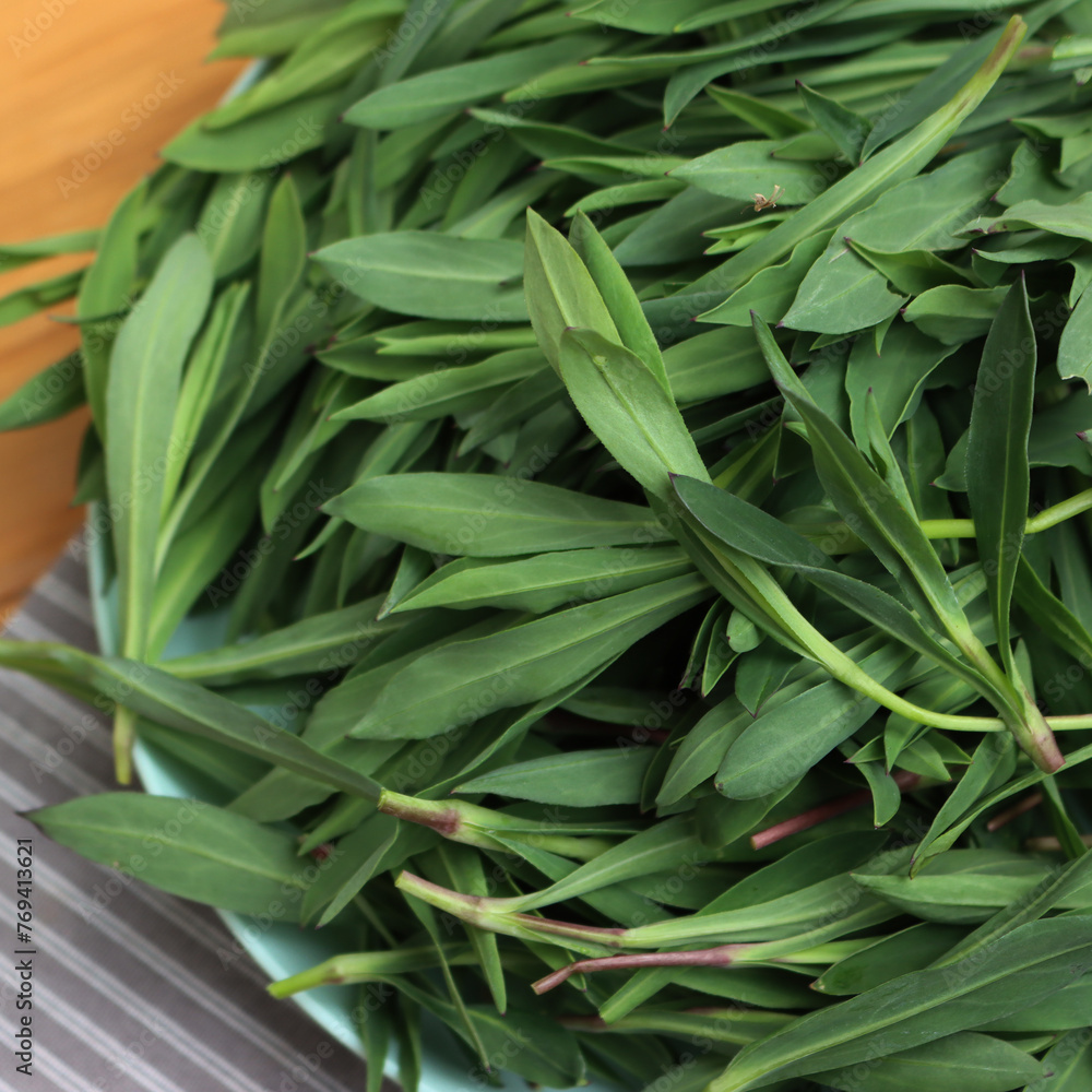 Bunch of fresh Bladder campion plants on a bowl on wooden table. Silene vulgaris plants harvest Bunch of fresh Bladder campion plants on a bowl on wooden table. Silene vulgaris plants harvest