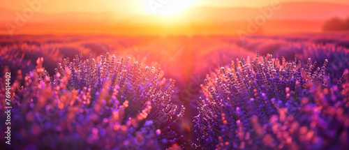 Immerse yourself in the radiant hues of a gradient transitioning from vibrant tangerine to serene lavender  meticulously captured in high-definition to showcase its mesmerizing vibrancy.