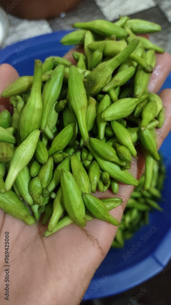 Kitchenar fruit beans in hand ready for  market
