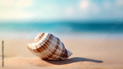 Small conch shells on the beach, blurred beach and bokeh background