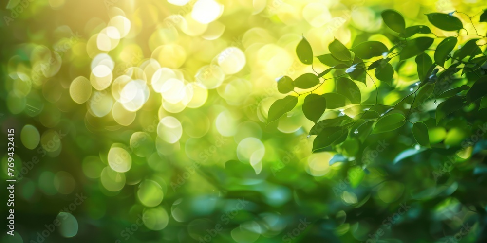 Generate an image of blurry nature background Generate an image of blurry nature background