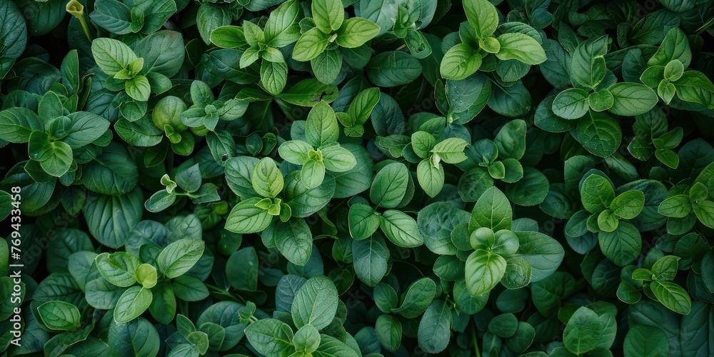 Generate an image of nature background texture Generate an image of nature background texture