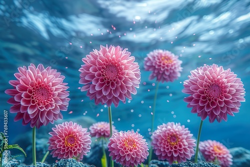 flower underwater