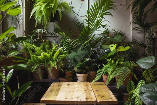 cafe table surrounded by lush potted ferns and pothos photo